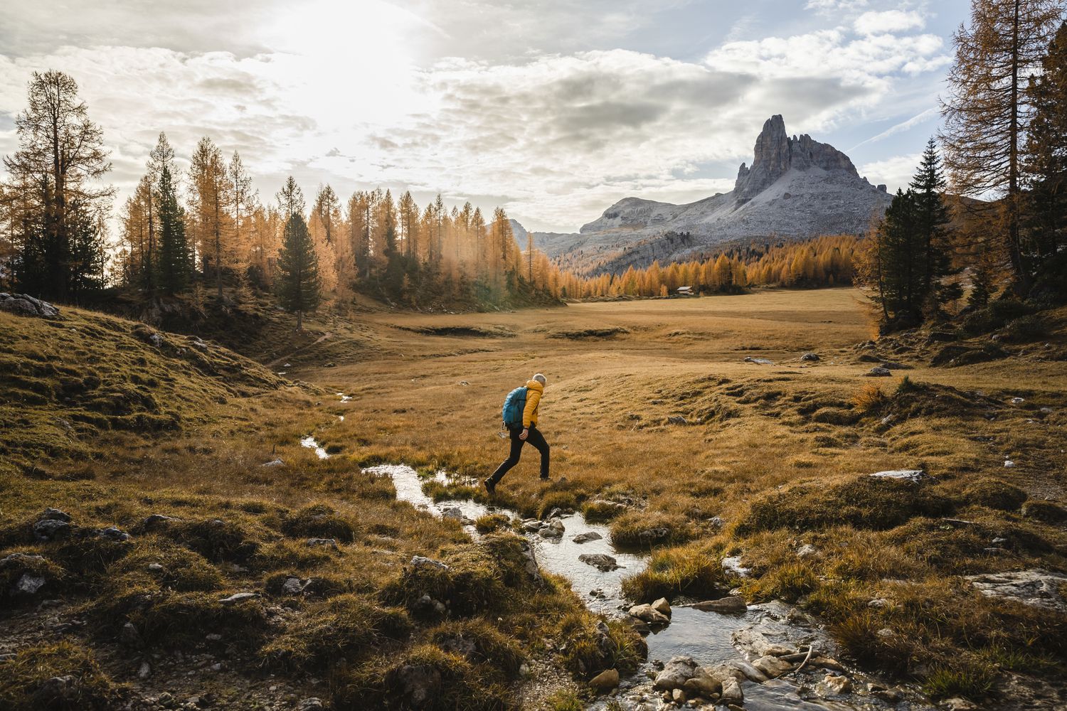 por qué solo 15 minutos de paseo en la naturaleza tienen el potencial